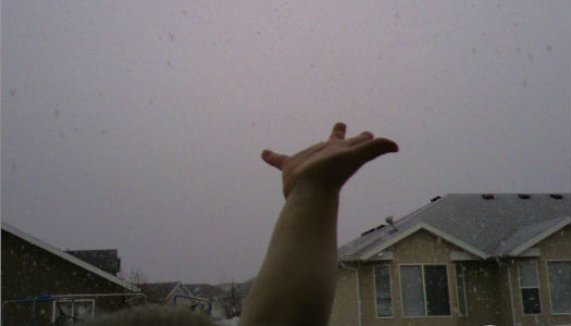 Picture of Reaching for Snowfall